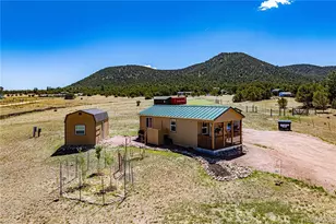 612 15th Trail, Cotopaxi, CO 81223 - Photo 5