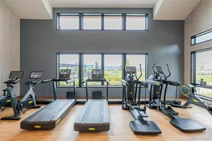 11412 Autumn Moon St, Littleton, CO 80125 - Photo 39