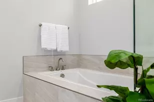 11412 Autumn Moon St, Littleton, CO 80125 - Photo 15