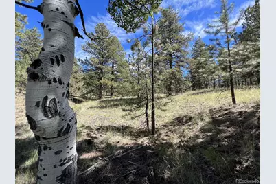 82 Kiowa Circle, Westcliffe, CO 81252 - Photo 21