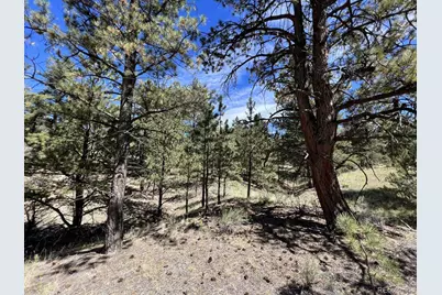 82 Kiowa Circle, Westcliffe, CO 81252 - Photo 17