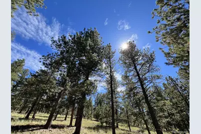 82 Kiowa Circle, Westcliffe, CO 81252 - Photo 27