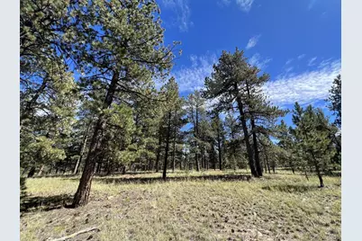 82 Kiowa Circle, Westcliffe, CO 81252 - Photo 5