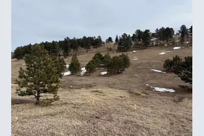 54 Georges Lane, Woodland Park, CO 80863 - Photo 35