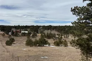 54 Georges Ln, Woodland Park, CO 80863 - Photo 37