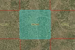 40 Acres N Canyon Dr, San Luis, CO 81152 - Photo 1