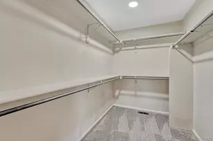 276 Hampstead Ave, Castle Rock, CO 80104 - Photo 27