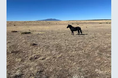 Lot 75A River Ridge Ranch, La Veta, CO 81055 - Photo 7