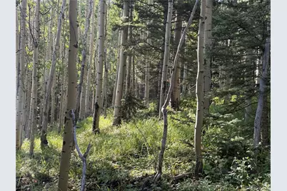 Lot 5331 Hull Road, Fort Garland, CO 81133 - Photo 33