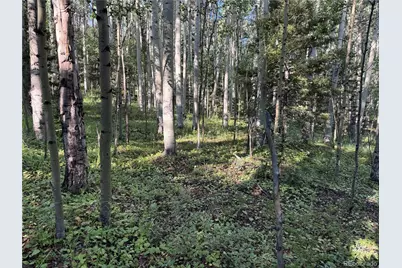 Lot 5331 Hull Road, Fort Garland, CO 81133 - Photo 5