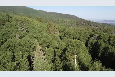 Lot 5331 Hull Road, Fort Garland, CO 81133 - Photo 21