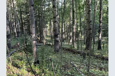 Lot 5331 Hull Road, Fort Garland, CO 81133 - Photo 31