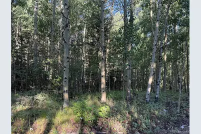 Lot 5331 Hull Road, Fort Garland, CO 81133 - Photo 3