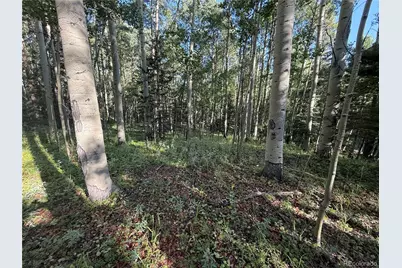 Lot 5331 Hull Road, Fort Garland, CO 81133 - Photo 7