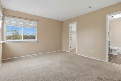 301 Mountain Cloud Circle, Highlands Ranch, CO 80126 - Photo 29