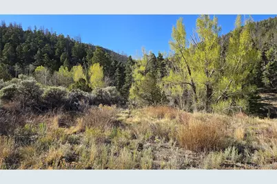 Lot 5475 Joy Road, Fort Garland, CO 81133 - Photo 15