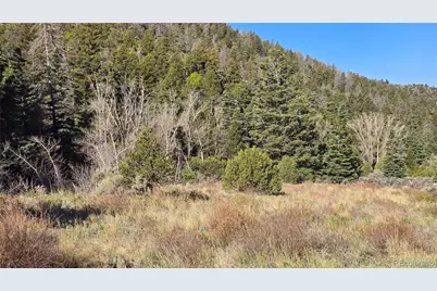 Lot 5475 Joy Road, Fort Garland, CO 81133 - Photo 17