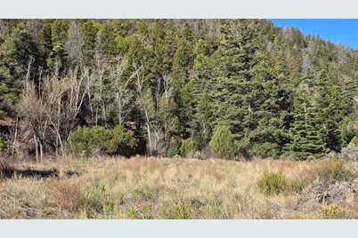 Lot 5475 Joy Road, Fort Garland, CO 81133 - Photo 19