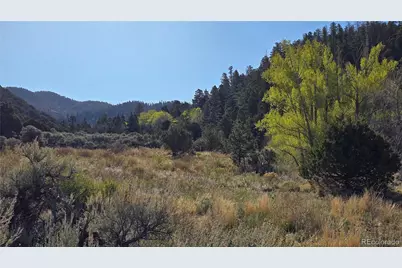 Lot 5475 Joy Road, Fort Garland, CO 81133 - Photo 3