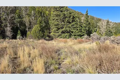 Lot 5475 Joy Road, Fort Garland, CO 81133 - Photo 5