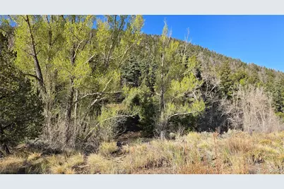Lot 5475 Joy Road, Fort Garland, CO 81133 - Photo 13