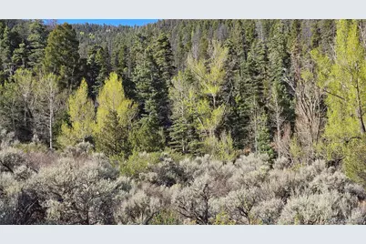 Lot 5475 Joy Road, Fort Garland, CO 81133 - Photo 23