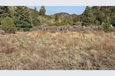 Lot 5475 Joy Road, Fort Garland, CO 81133 - Photo 9