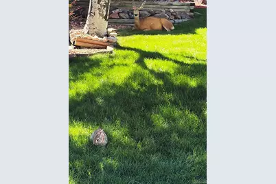 22 Manzanita, Littleton, CO 80127 - Photo 37
