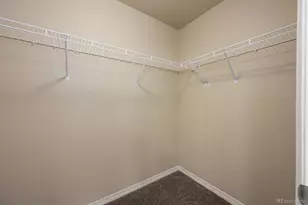 6005 Clarence Dr, Windsor, CO 80550 - Photo 17