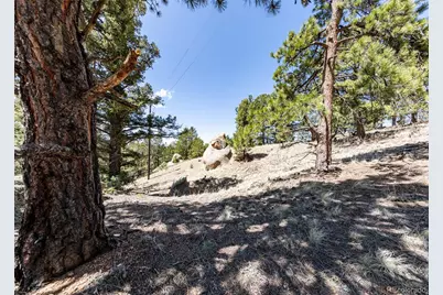 110 La Abu Trail, Florissant, CO 80816 - Photo 17