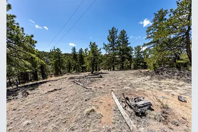 110 La Abu Trail, Florissant, CO 80816 - Photo 21