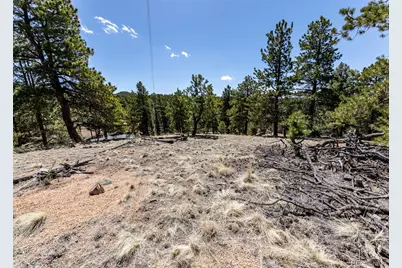 110 La Abu Trail, Florissant, CO 80816 - Photo 19