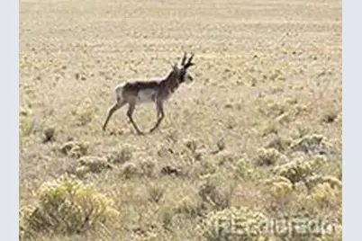 2667 Cahokia Road, Hartsel, CO 80449 - Photo 25