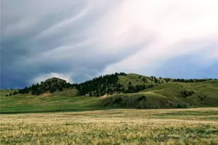 2667 Cahokia Rd, Hartsel, CO 80449 - Photo 1