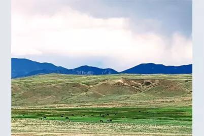 2667 Cahokia Road, Hartsel, CO 80449 - Photo 3