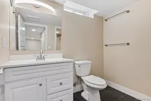 2536 S Race St, Denver, CO 80210 - Photo 11