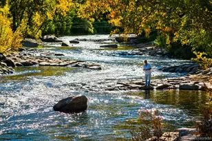 1801 East St, Golden, CO 80401 - Photo 27