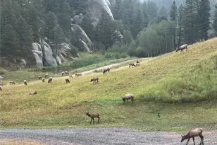 60 N Co Hwy 67, Sedalia, CO 80135 - Photo 9