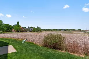 6556 Finch Ct, Fort Collins, CO 80525 - Photo 35