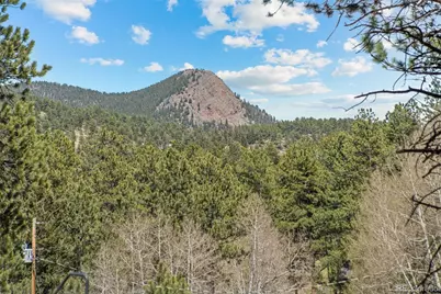 68 Aspen Drive, Bailey, CO 80421 - Photo 33