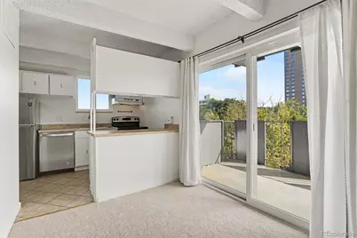 1265 N Race Street #601, Denver, CO 80206 - Photo 9