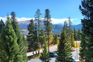 1001 Grandview Dr, Breckenridge, CO 80424 - Photo 21