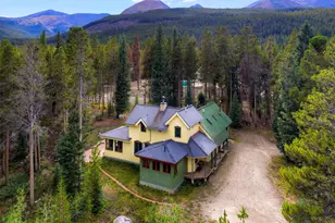 644 Spruce Creek Rd, Breckenridge, CO 80424 - Photo 5