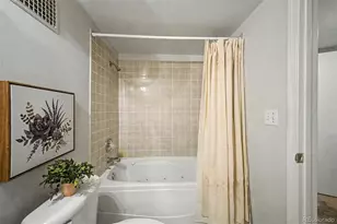 850 Adams St, Denver, CO 80206 - Photo 41