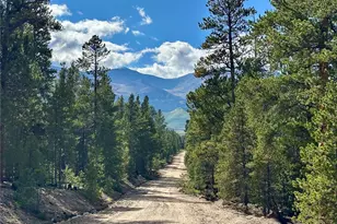 143 Fir Dr, Leadville, CO 80461 - Photo 1