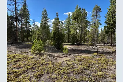 143 Fir Drive, Leadville, CO 80461 - Photo 5
