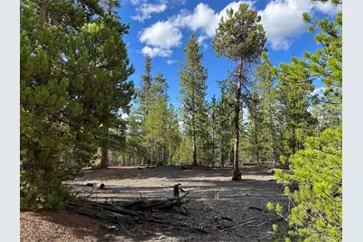 143 Fir Drive, Leadville, CO 80461 - Photo 9