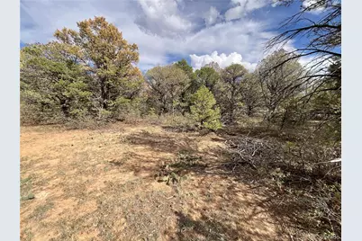 Lot 70 Silver Spurs Ranch, Walsenburg, CO 81089 - Photo 7