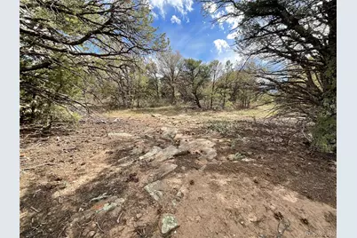 Lot 70 Silver Spurs Ranch, Walsenburg, CO 81089 - Photo 13