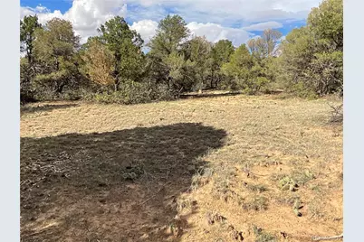 Lot 70 Silver Spurs Ranch, Walsenburg, CO 81089 - Photo 19